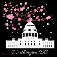Washington DC Capitol Building Cherry Blossoms TShirt Bucket Hat