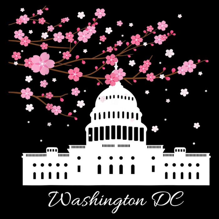 Washington DC Capitol Building Cherry Blossoms TShirt Tank Top