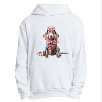 Weimaraner Dog Cute Weimaraners Puppy USA Flag Hat Urban Pullover Hoodie