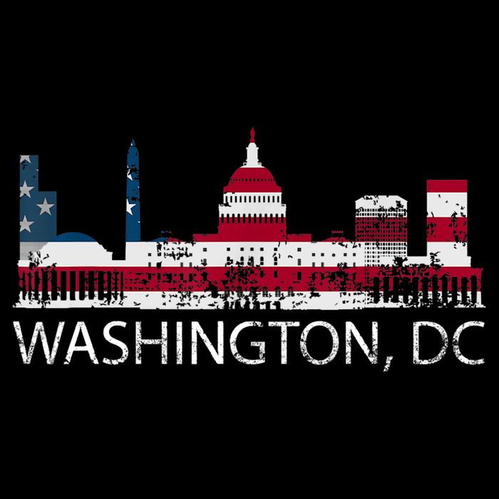 Washington DC Capitol Hill USA Flag Souvenir Design TShirt Tank Top