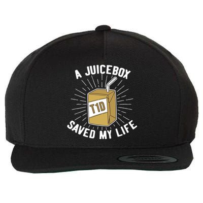 World Diabetes Day Pancreas Diabetic Gift Juice Box Gift Wool Snapback Cap