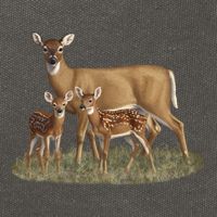 Whitetail Deer Doe And Cute Twin Fawns Wildlife Art Meaningful Gift Cotton Canvas Backpack