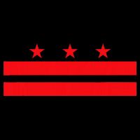 Washington Dc Flag Impact Tech Backpack