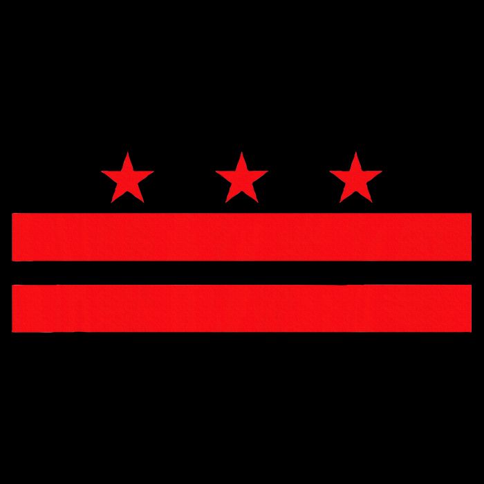 Washington Dc Flag Impact Tech Backpack
