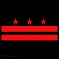 Washington Dc Flag 7-Panel Snapback Hat