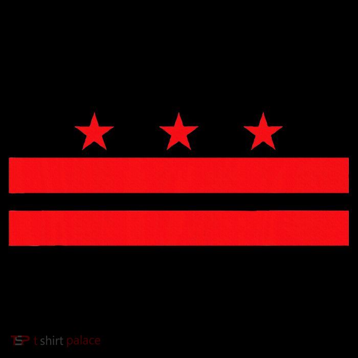Washington Dc Flag Kids T-Shirt