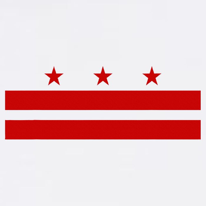 Washington D.C. Flag A Capital City Womens Tank Top
