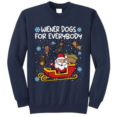 Wiener Dogs For Everybody Santa Funny Christmas Dachshund Sweatshirt