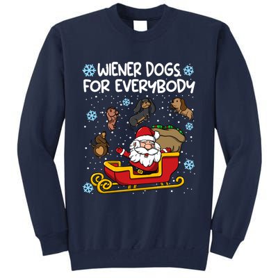 Wiener Dogs For Everybody Santa Funny Christmas Dachshund Tall Sweatshirt