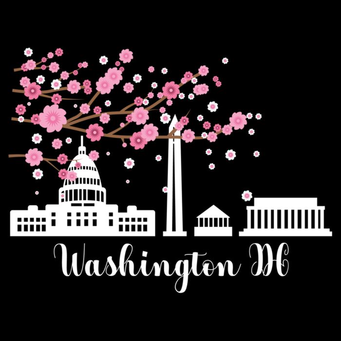 Washington Dc Funny Gift Cherry Blossoms Memorial Monut Meaningful Gift Backpack
