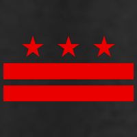 Washington Dc Flag D.C. Capitol 7 Panel Mesh Trucker Snapback Hat