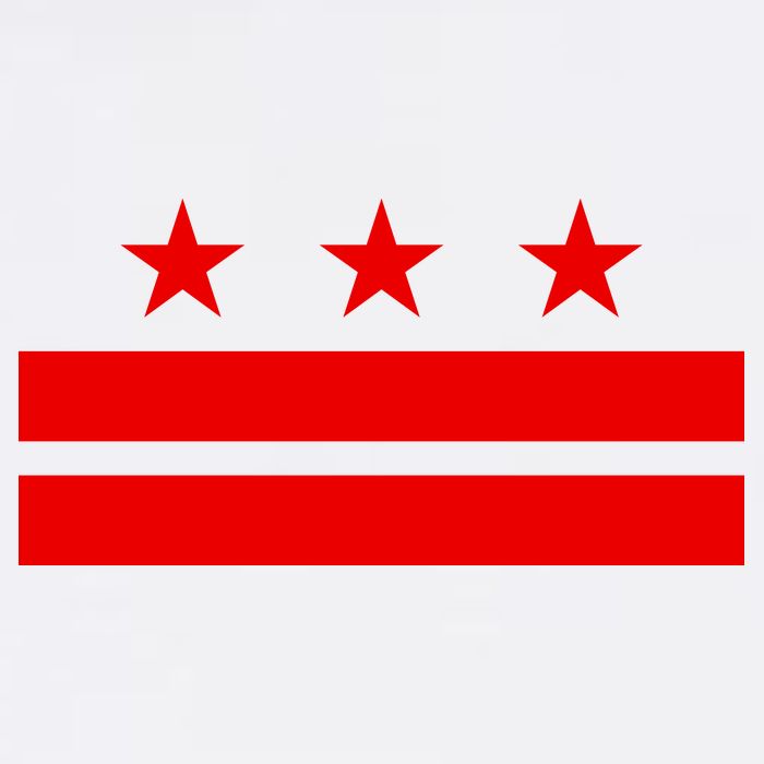 Washington Dc Flag D.C. Capitol Mesh Reversible Basketball Jersey Tank