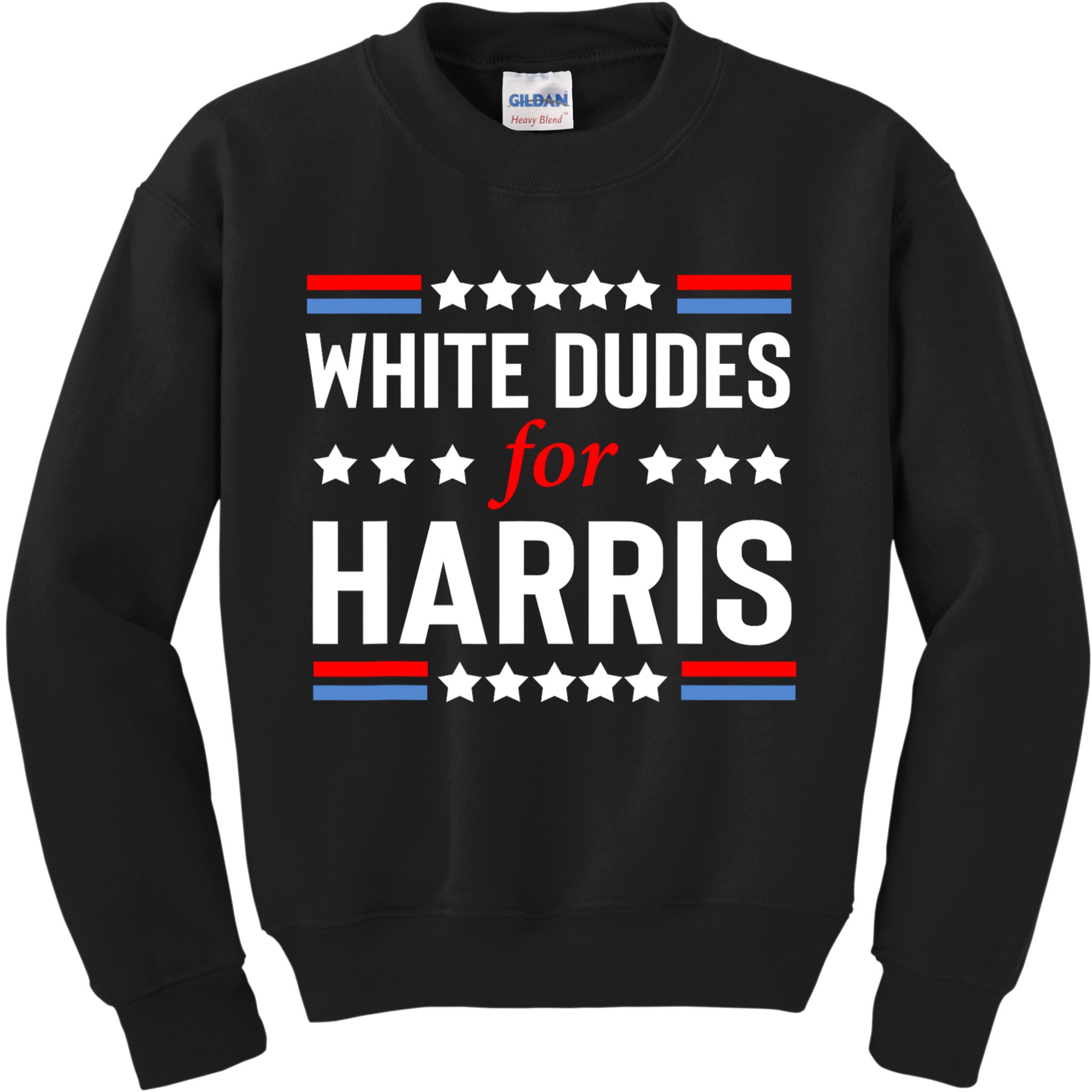 White Dudes For Harris 2024 For President Kids Sweatshirt
