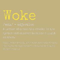 Woke Definition Funny New Thinking Politically Informed Performance Shirt