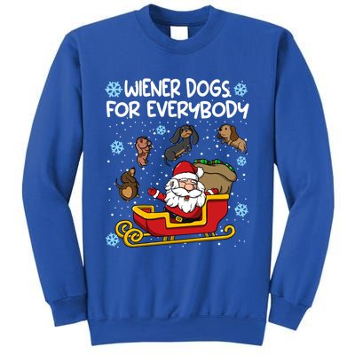 Wiener Dogs For Everybody Santa Funny Christmas Dachshund Meaningful Gift Sweatshirt