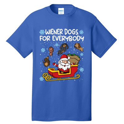 Wiener Dogs For Everybody Santa Funny Christmas Dachshund Meaningful Gift Tall T-Shirt