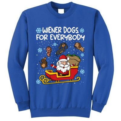 Wiener Dogs For Everybody Santa Funny Christmas Dachshund Meaningful Gift Tall Sweatshirt