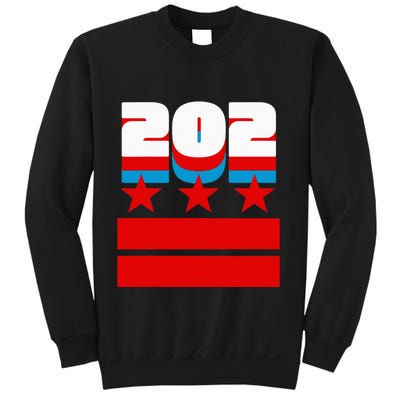 Washington Dc Flag Sweatshirt
