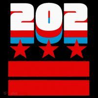 Washington Dc Flag Sustainable Bucket Hat