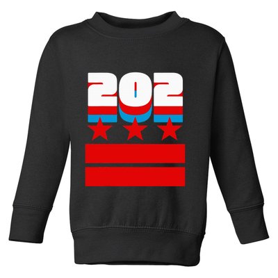 Washington Dc Flag Toddler Sweatshirt