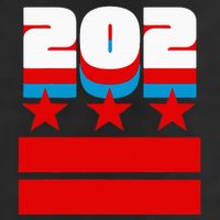 Washington Dc Flag Golf Towel