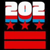 Washington Dc Flag Visor