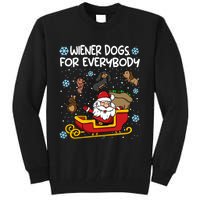 Wiener Dogs For Everybody Santa Funny Christmas Dachshund Tall Sweatshirt