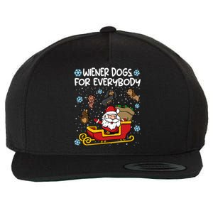 Wiener Dogs For Everybody Santa Funny Christmas Dachshund Wool Snapback Cap