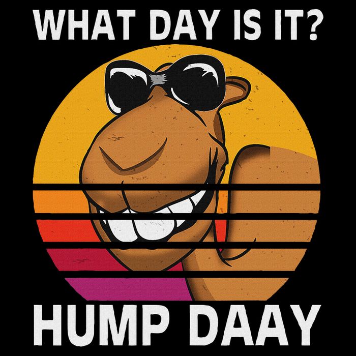 What Day Is It Camel Hump Day Gift Funny Hump Day Camel Full-Length Apron With Pockets