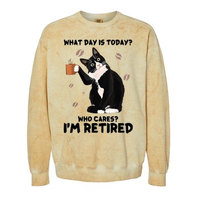 What Day Is Today Who Cares I'm Retired Cat Coffee Lovers Colorblast Crewneck Sweatshirt