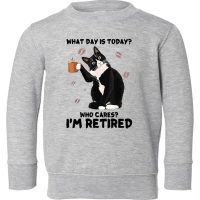 What Day Is Today Who Cares I'm Retired Cat Coffee Lovers Toddler Sweatshirt