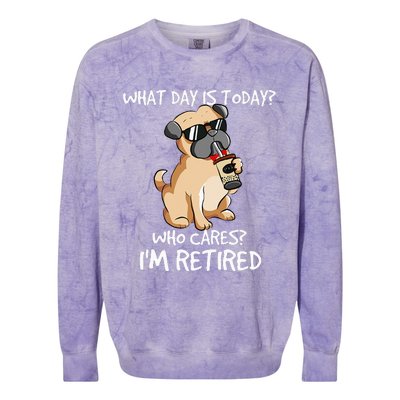 What Day Is Today Who Cares Im Retired Dogs Owner & Lovers Colorblast Crewneck Sweatshirt