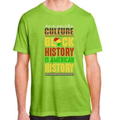 We Do It For Culture Black Ack History Is American History Funny Gift Adult ChromaSoft Performance T-Shirt