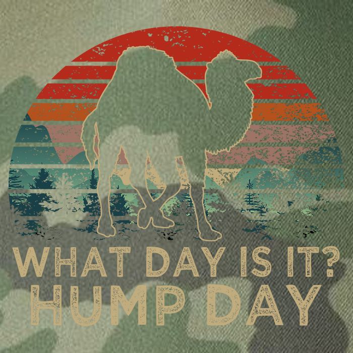 What Day Is It Hump Day Legacy Tie Dye Trucker Hat