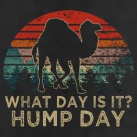 What Day Is It Hump Day Cool Comfort Performance Bucket Hat