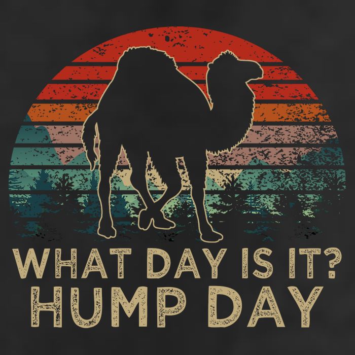 What Day Is It Hump Day Cool Comfort Performance Bucket Hat