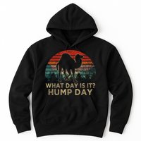 What Day Is It Hump Day Hoodie