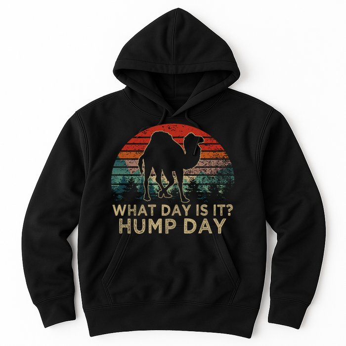What Day Is It Hump Day Hoodie