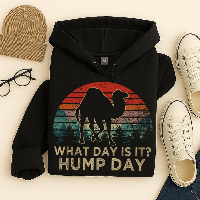 What Day Is It Hump Day Hoodie