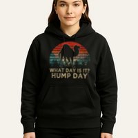 What Day Is It Hump Day Hoodie