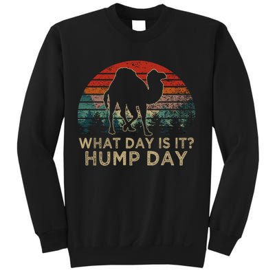 What Day Is It Hump Day Sweatshirt