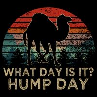 What Day Is It Hump Day Button