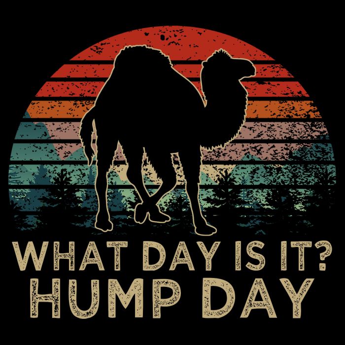 What Day Is It Hump Day Button