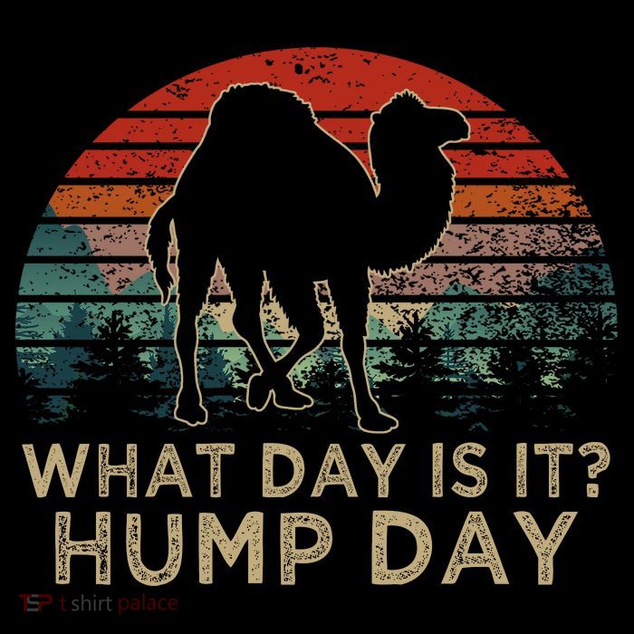 What Day Is It Hump Day Tank Top