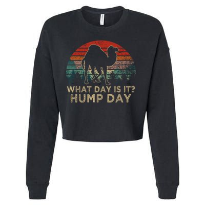 What Day Is It Hump Day Cropped Pullover Crew