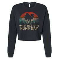 What Day Is It Hump Day Cropped Pullover Crew