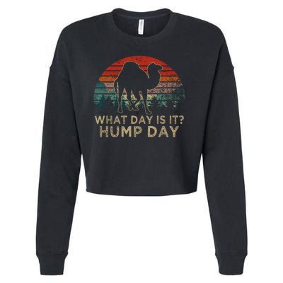 What Day Is It Hump Day Cropped Pullover Crew