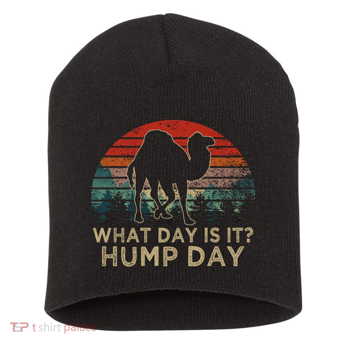 What Day Is It Hump Day Short Acrylic Beanie