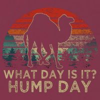 What Day Is It Hump Day 16oz Travel Tumbler