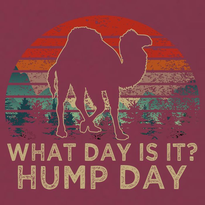 What Day Is It Hump Day 16oz Travel Tumbler
